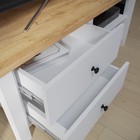 Тумба под ТВ Рино, 1100х370х450, Белый/Дуб золотой крафт - фото 22058831