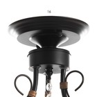 Люстра "Дженни" 3xE14 40Вт черно-золотой 56,5х56,5х36,5 см BayerLux 7794174