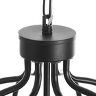 Люстра "Джил" 8xE14 40Вт черный 75х75х42-100 см BayerLux - Фото 7