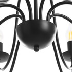 Люстра "Джил" 8xE14 40Вт черный 75х75х42-100 см BayerLux - Фото 8