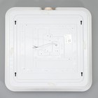 Люстра "Маркиза" LED 80Вт 3000-6000К ПДУ серый 50х50х8см BayerLux 9083847