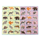 Плакат. Лото. Раскраска. "Лесные звери" - Фото 2