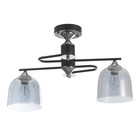 Люстра "Хаям" 2хE27 40Вт черный 55х30х25 см BayerLux 9214880 - фото 14158819