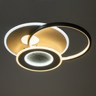 Люстра с ПДУ «Круги»LED 160 Вт чёрно-белый 50.5×46.5×6 см BayerLux - фото 4672292