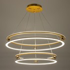 Светильник "Сферра" LED 272Вт 3000-6000К серо-золотой 64х65х7см BayerLux - фото 27644114