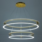 Светильник "Сферра" LED 272Вт 3000-6000К серо-золотой 64х65х7см BayerLux - фото 27644115