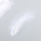 Набор перьев для творчества 30 шт (14-17 см), белый - Фото 2