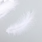Набор перьев для творчества 30 шт (14-17 см), белый - Фото 3