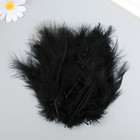 Набор перьев для творчества 30 шт (14-17 см), чёрный - фото 2842231