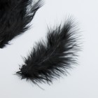Набор перьев для творчества 30 шт (14-17 см), чёрный - Фото 3