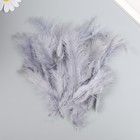 Набор перьев для творчества 30 шт (14-17 см), серый - фото 10303765