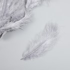Набор перьев для творчества 30 шт (14-17 см), серый - Фото 2