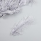 Набор перьев для творчества 30 шт (14-17 см), серый - Фото 3