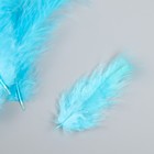 Набор перьев для творчества 30 шт (14-17 см), голубой - Фото 2