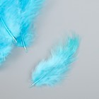 Набор перьев для творчества 30 шт (14-17 см), голубой - Фото 3
