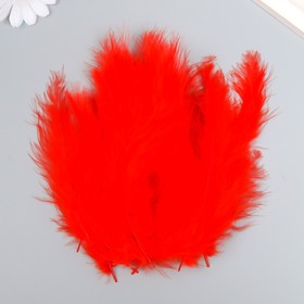 Набор перьев для творчества 30 шт (14-17 см), красный
