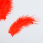 Набор перьев для творчества 30 шт (14-17 см), красный - фото 8995612