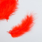 Набор перьев для творчества 30 шт (14-17 см), красный - фото 8995613