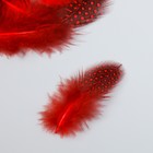 Набор перьев для творчества 20 шт (6-8 см), красный - Фото 2