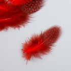Набор перьев для творчества 20 шт (6-8 см), красный - Фото 3
