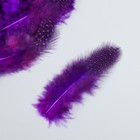 Набор перьев для творчества 20 шт (6-8 см), фиолетовый - Фото 2
