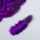 Набор перьев для творчества 20 шт (6-8 см), фиолетовый - Фото 3