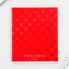Тетрадь в клетку, 48 л., А5, на скрепке, блок №1 «Россия» МИКС - Фото 7
