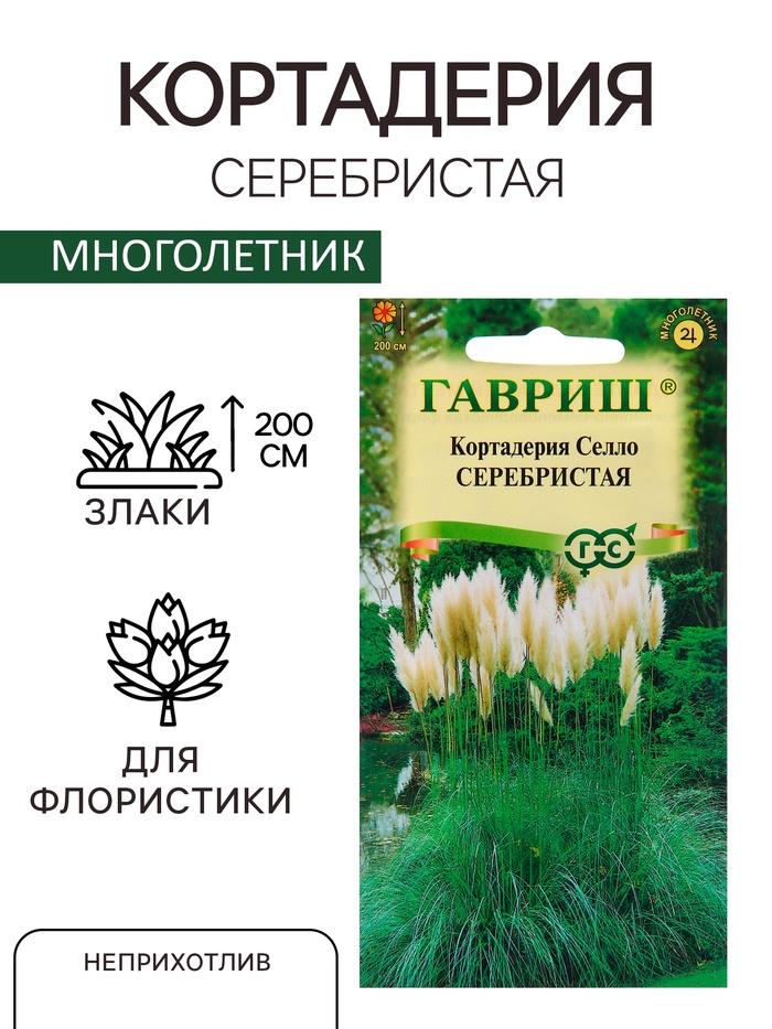 Семена Кортадерия Серебристая "Пампасная трава", ц/п, 0,01 гр. - Фото 1