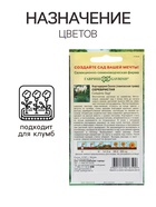 Семена Кортадерия Серебристая "Пампасная трава", ц/п, 0,01 гр. - Фото 3