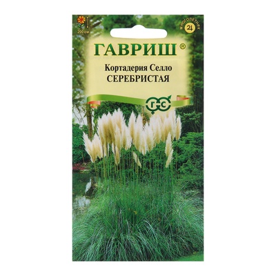 Семена Кортадерия Селло Серебристая «Пампасная трава», 0.01 г, многолетник, «Гавриш»