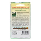 Семена Кортадерия Серебристая "Пампасная трава", ц/п, 0,01 гр. - Фото 6
