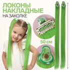 Набор накладных локонов «AVOCADO», прямой волос, на заколке, 2 шт, 50 см, цвет зелёный - фото 10304684