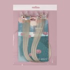 Набор накладных локонов «КОРОНА», прямой волос, на заколке, 2 шт, 50 см, цвет пепельный/МИКС - фото 22061329