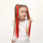 Набор накладных локонов «РАДУГА», прямой волос, на заколке, 2 шт, 50 см, цвет красный/МИКС - фото 6830524