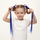 Набор накладных локонов «РАДУГА», прямой волос, на заколке, 2 шт, 50 см, цвет синий/МИКС - Фото 3