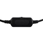 Компьютерные колонки 2.0 SmartBuy RHAPSODY, 6 Вт, USB, подсветка, чёрные - фото 51308931 Компьютерные колонки 2.0 SmartBuy RHAPSODY, 6 Вт, USB, подсветка, чёрные - фото 51308931