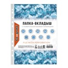 Файл - вкладыш Calligrata, А4, 35 мкм, матовый, вертикальный, 100 штук - Фото 3