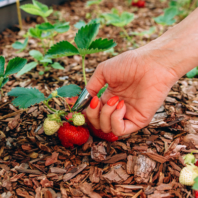 Напальчник с лезвием, металлический, Greengo