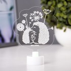 Светильник 3D ночник RISALUX «Ёжики», LED RGB 6 цветов, от батареек LR1130 3 шт., 8.5×10 см 9286001 - фото 13547229
