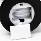 Ночник колба "Синий цветок" LED от батареек 3хААА 11х11х22 см 9329987