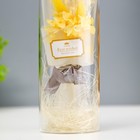 Фигурка световая колба RISALUX «Красочный букет», LED-ночник, от батареек LR=1130 6.5×6.5×19 см - Фото 5