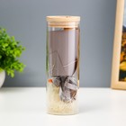 Фигурка светящаяся колба RISALUX «Букет из красных цветов», LED-ночник, от батареек LR=1130 6.5×6.5×19 см - Фото 4