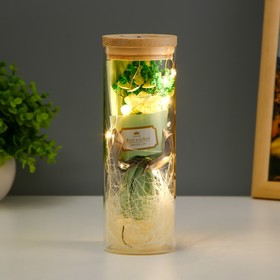 Фигурка светящаяся колба RISALUX «Букет из зелёных цветов», LED - ночник, от батареек LR1130, 6.5×6.5×19 см