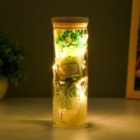 Ночник колба "Букет из зеленых цветов" LED от батареек LR1130 6,5х6,5х19 см RISALUX