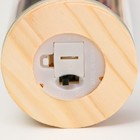 Фигурка светящаяся колба RISALUX «Букет из зелёных цветов», LED - ночник, от батареек LR1130, 6.5×6.5×19 см - Фото 7