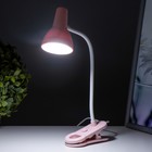 Настольная лампа "Ланти" LED 3Вт USB АКБ МИКС 10х6х29 см RISALUX - фото 22064056