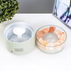 Ночник-увлажнитель "Антер" LED 3Вт USB RGB белый 13х13х12 см RISALUX - фото 22064135