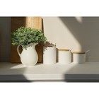 Банки для хранения сыпучих на бамбуковой подставке BellaTenero, 6 предметов: 3 банки 150 мл, 250 мл, 350 мл, 3 ложки, белые - Фото 8