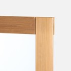 Зеркало напольное в полный рост, 170х70 см, ТЕРМО хвоя, усиленное - фото 24740634