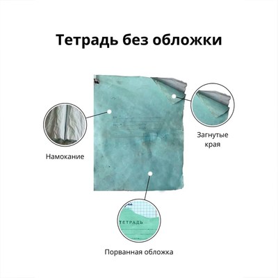 Набор обложек ПП 12 шт., 212×347 мм, 80 мкм, ErichKrause Lovely Friends, для тетрадей и дневников, фиксированная, МИКС с рисунком